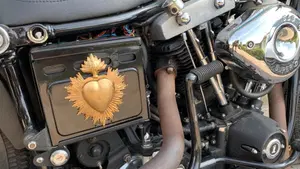 Harley-Davidson   (10)