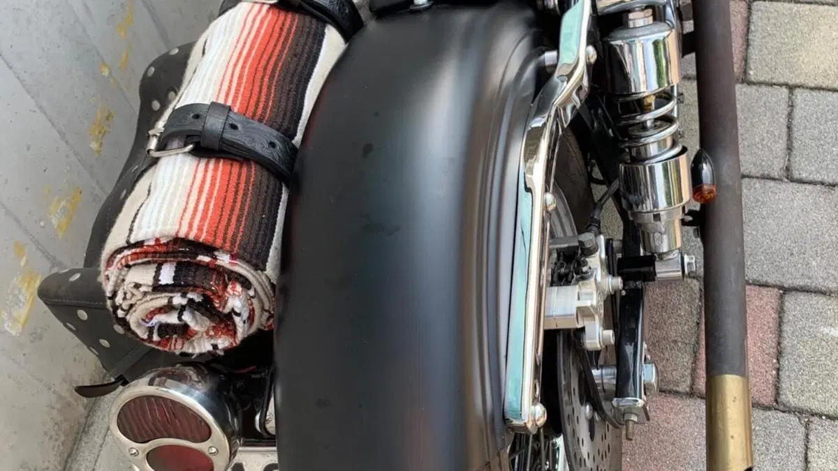 Harley-Davidson   (11)