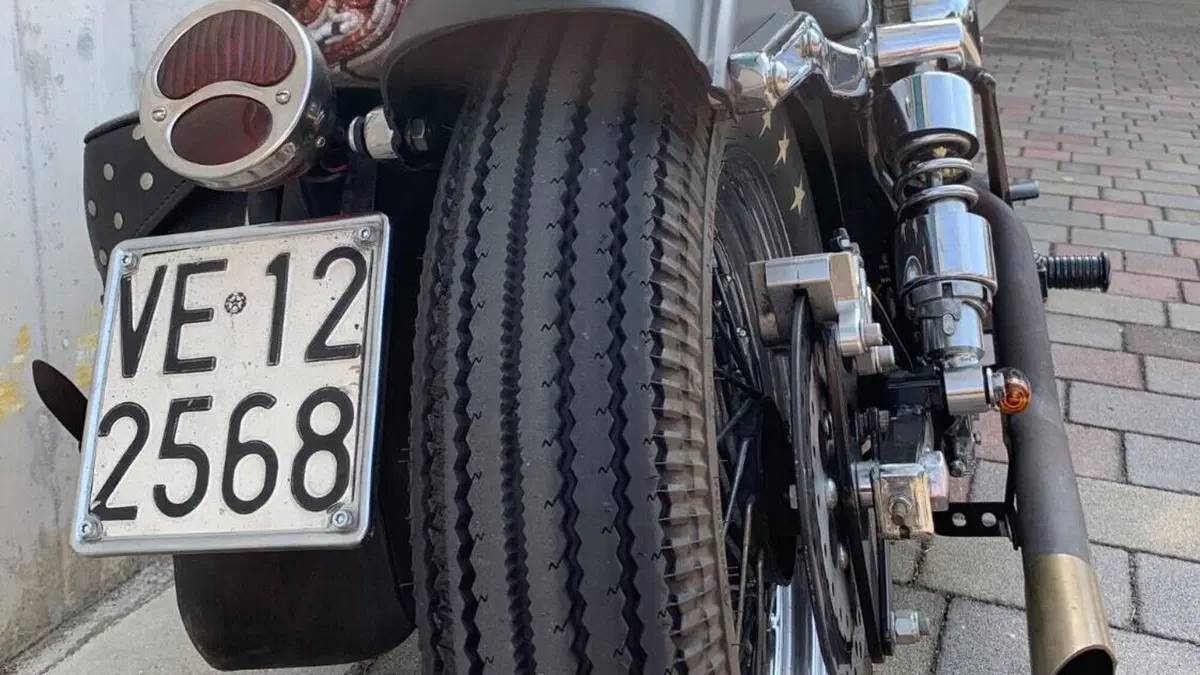 Harley-Davidson   (12)