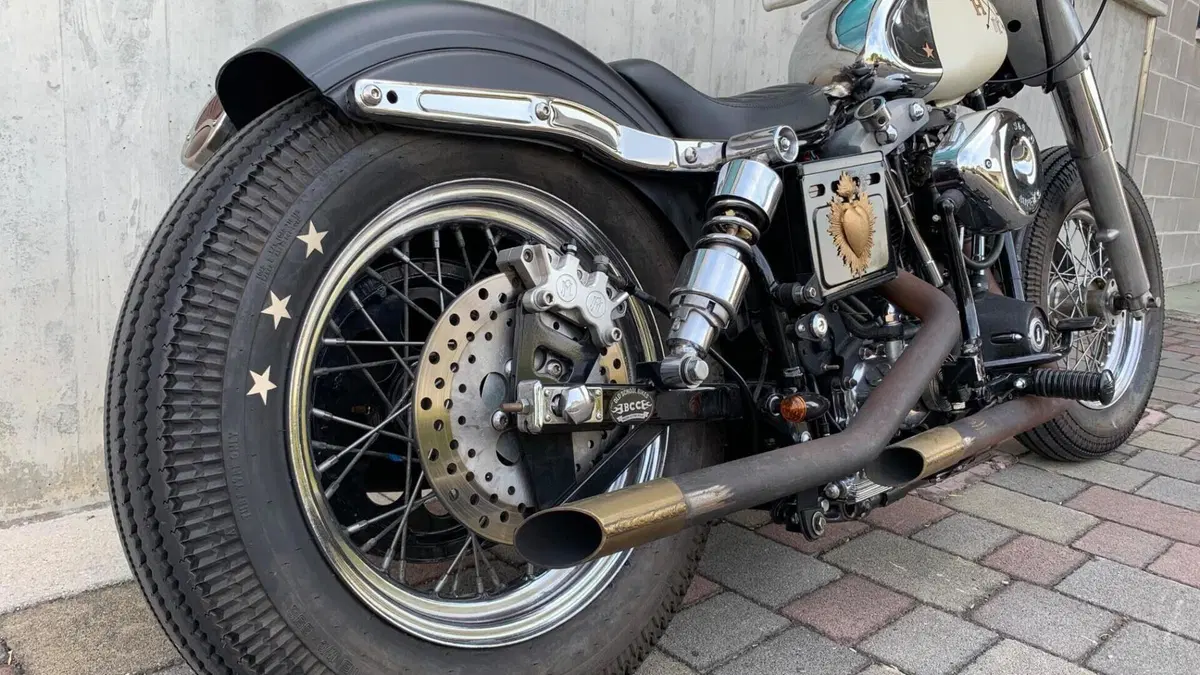 Harley-Davidson   (14)