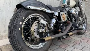Harley-Davidson   (14)
