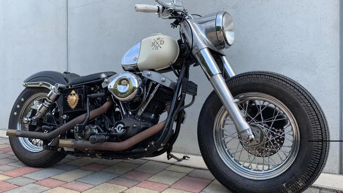 Harley-Davidson   (16)