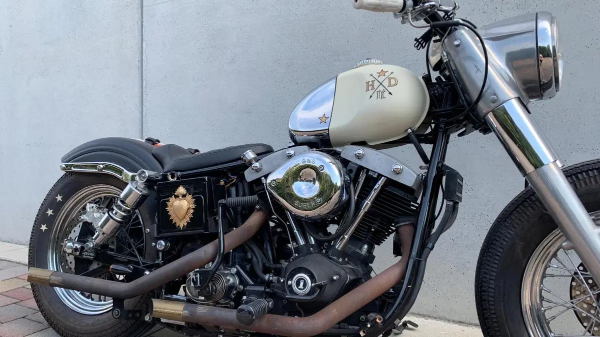 Harley-Davidson   (17)