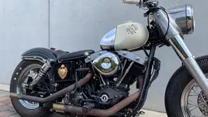 Harley-Davidson   (17)