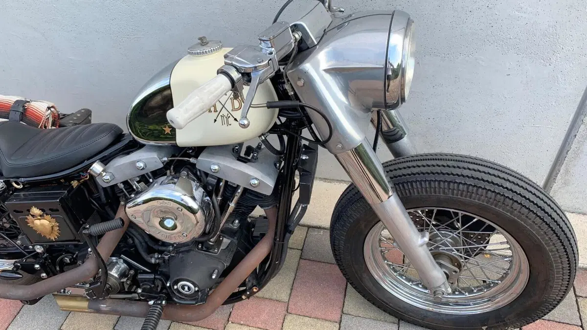 Harley-Davidson   (18)