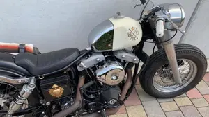 Harley-Davidson   (19)