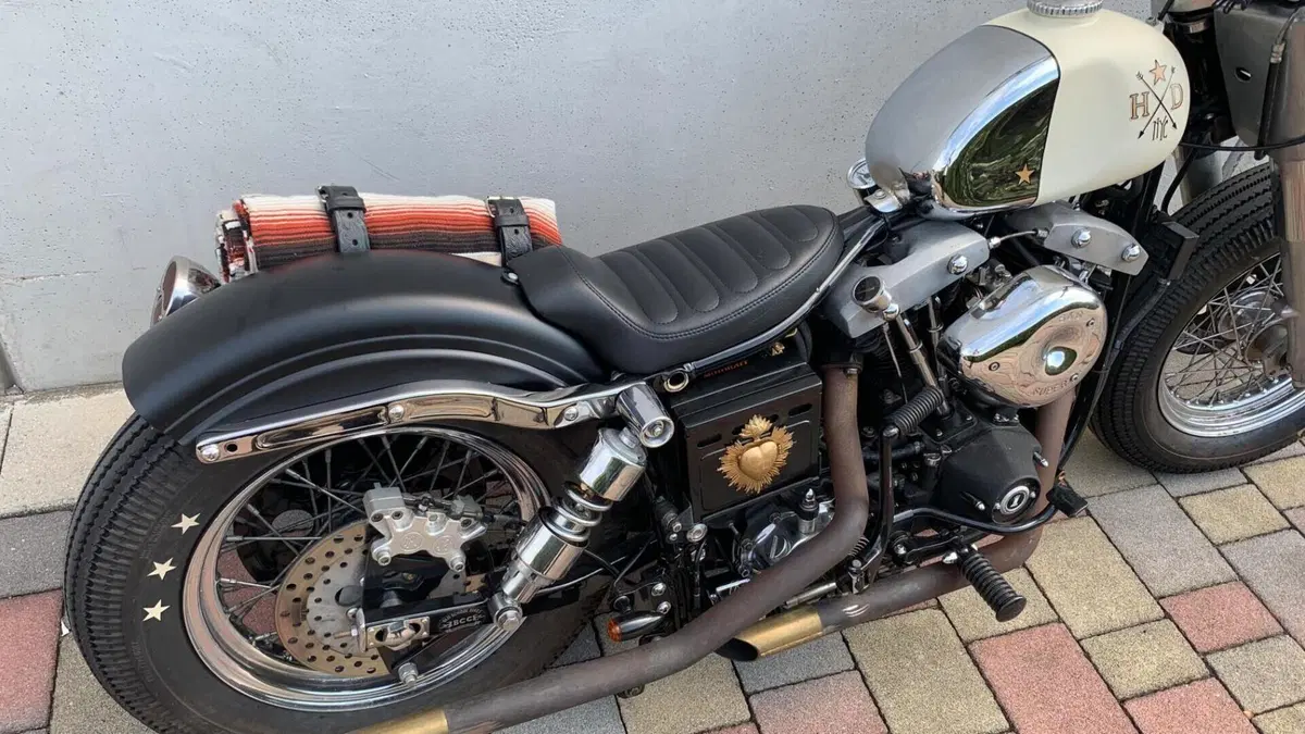 Harley-Davidson   (20)