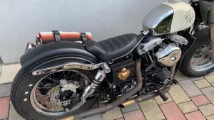 Harley-Davidson   (20)