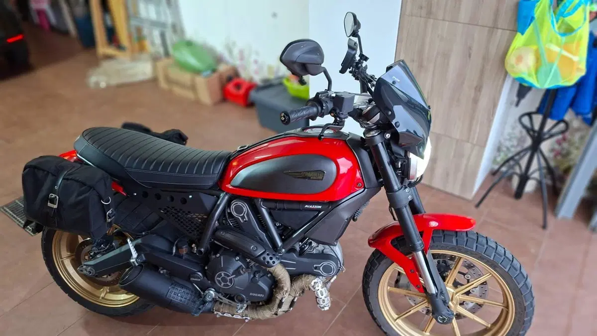 Ducati Scrambler 800 Icon (2015 - 16) 