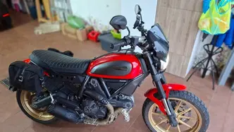 Ducati Scrambler 800 Icon (2015 - 16)