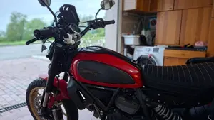 Ducati Scrambler 800 Icon (2015 - 16)  (4)