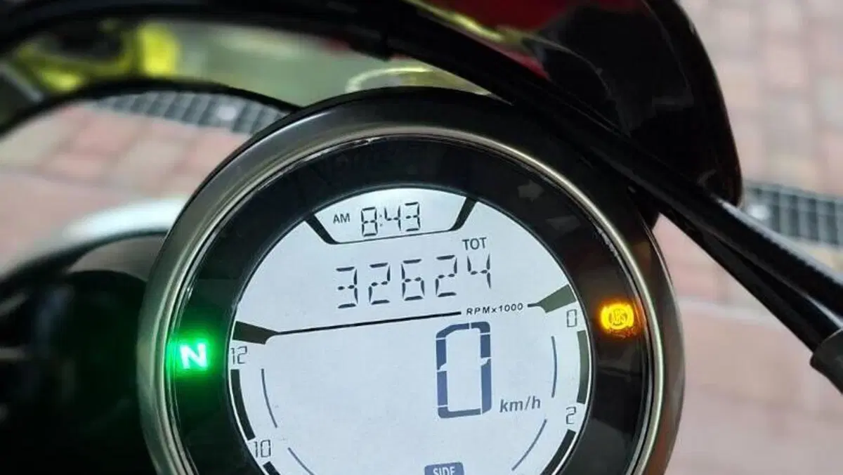 Ducati Scrambler 800 Icon (2015 - 16)  (7)