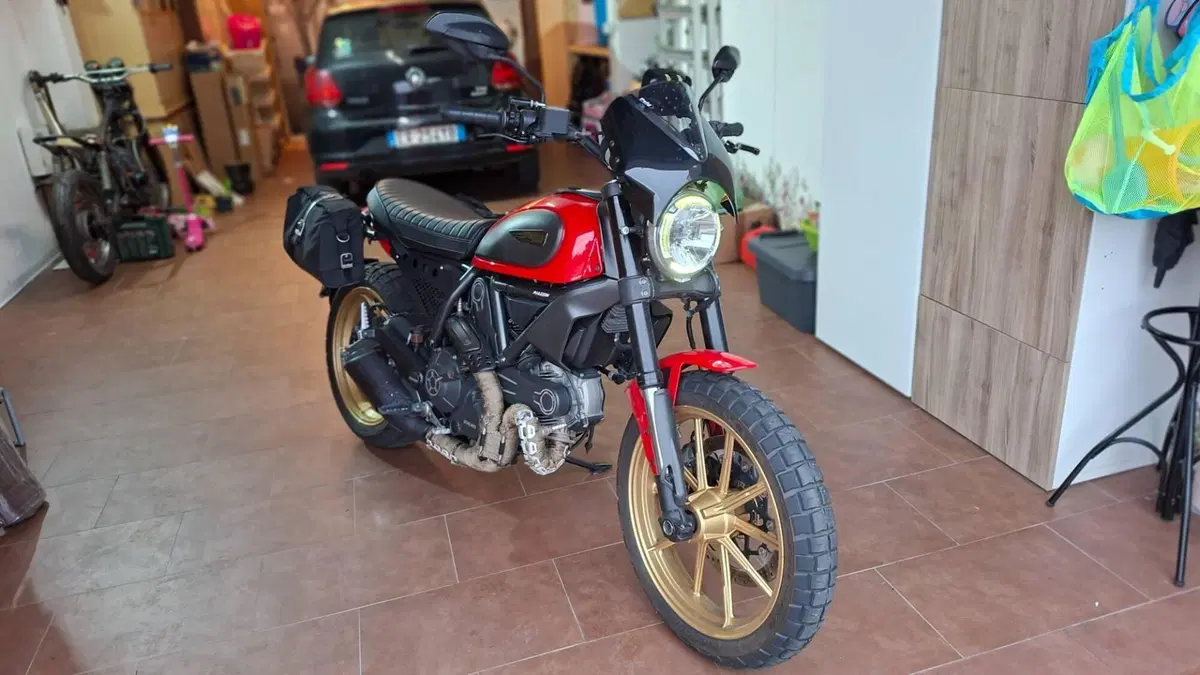 Ducati Scrambler 800 Icon (2015 - 16)  (2)