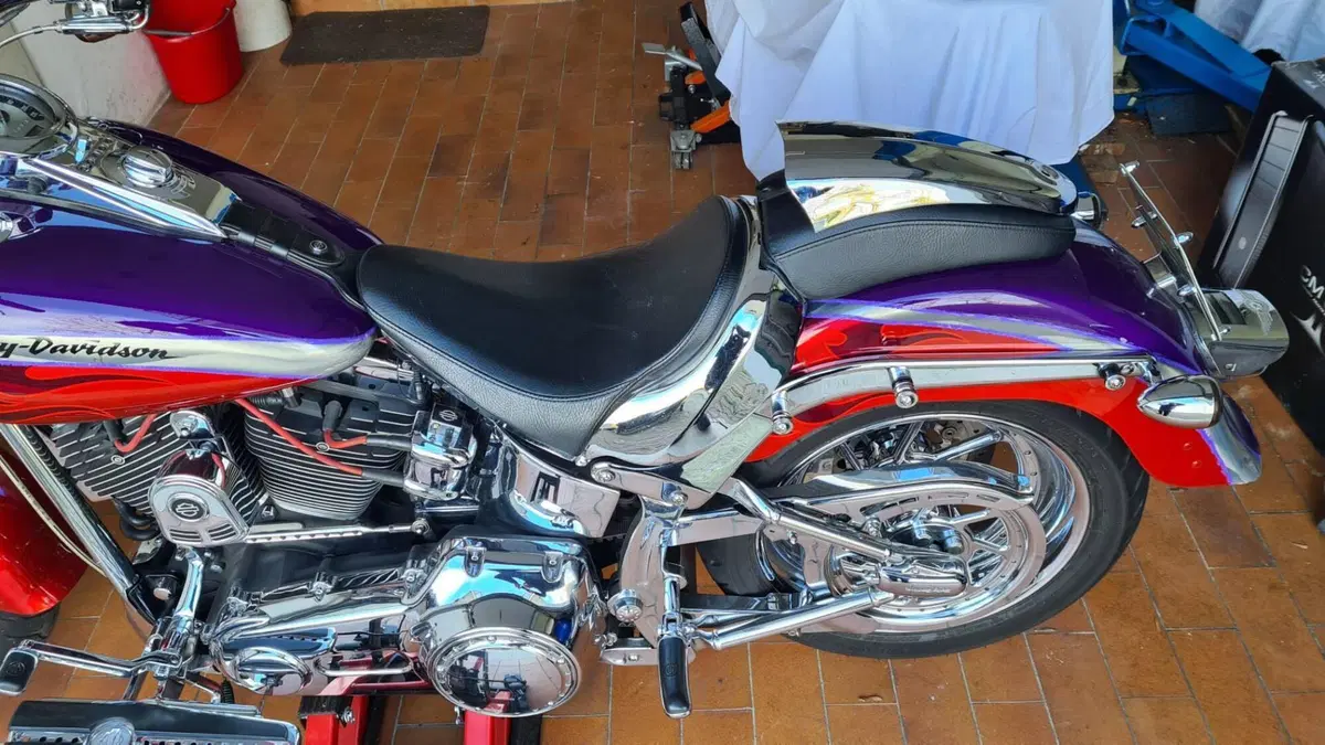 Harley-Davidson 1584 Fat Boy (2006 - 07) - FLSTF  (2)