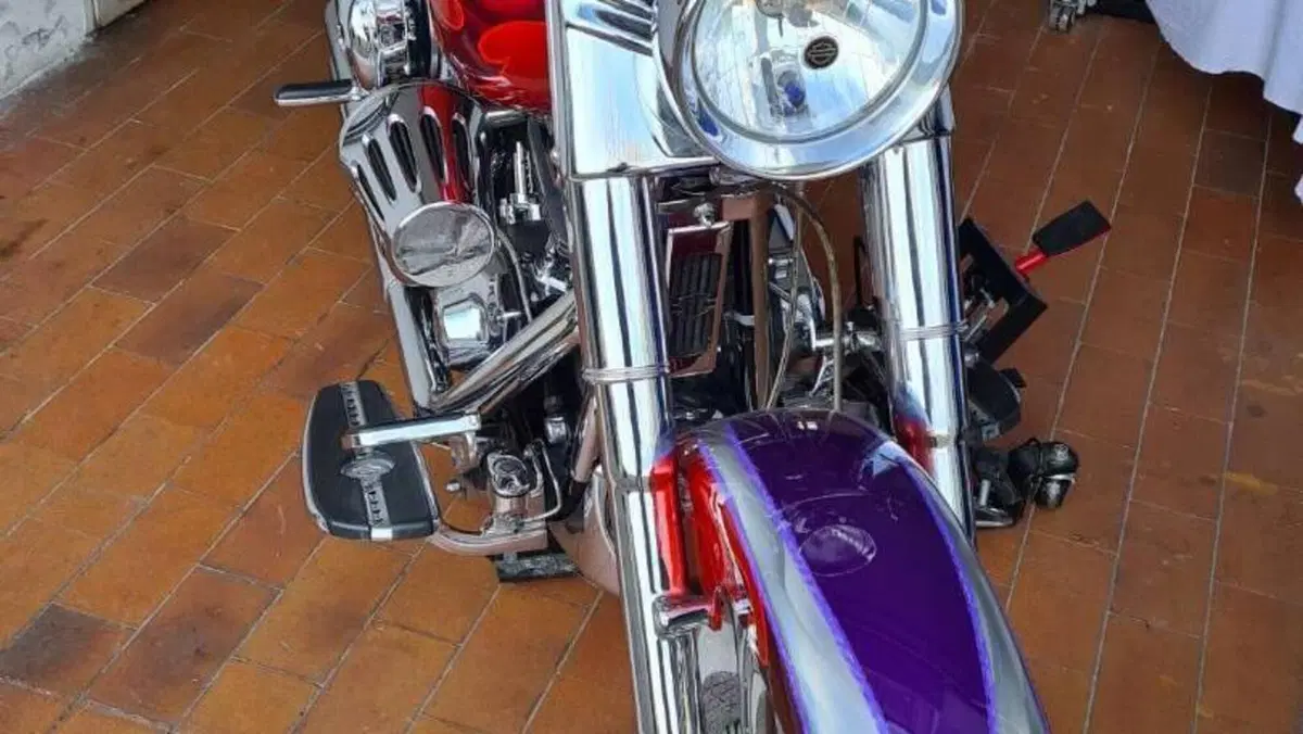 Harley-Davidson 1584 Fat Boy (2006 - 07) - FLSTF  (8)