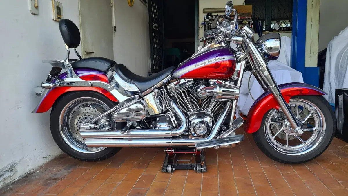 Harley-Davidson 1584 Fat Boy (2006 - 07) - FLSTF  (9)
