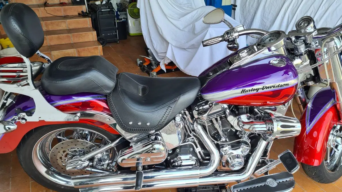 Harley-Davidson 1584 Fat Boy (2006 - 07) - FLSTF  (10)
