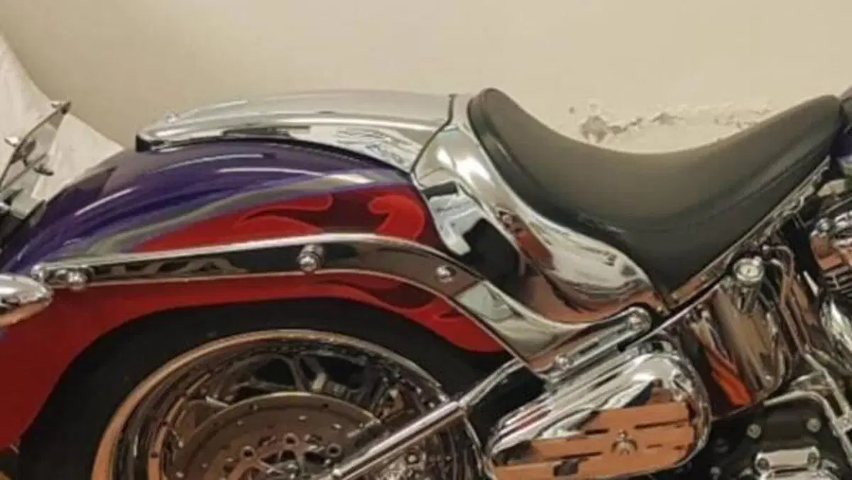Harley-Davidson 1584 Fat Boy (2006 - 07) - FLSTF  (15)