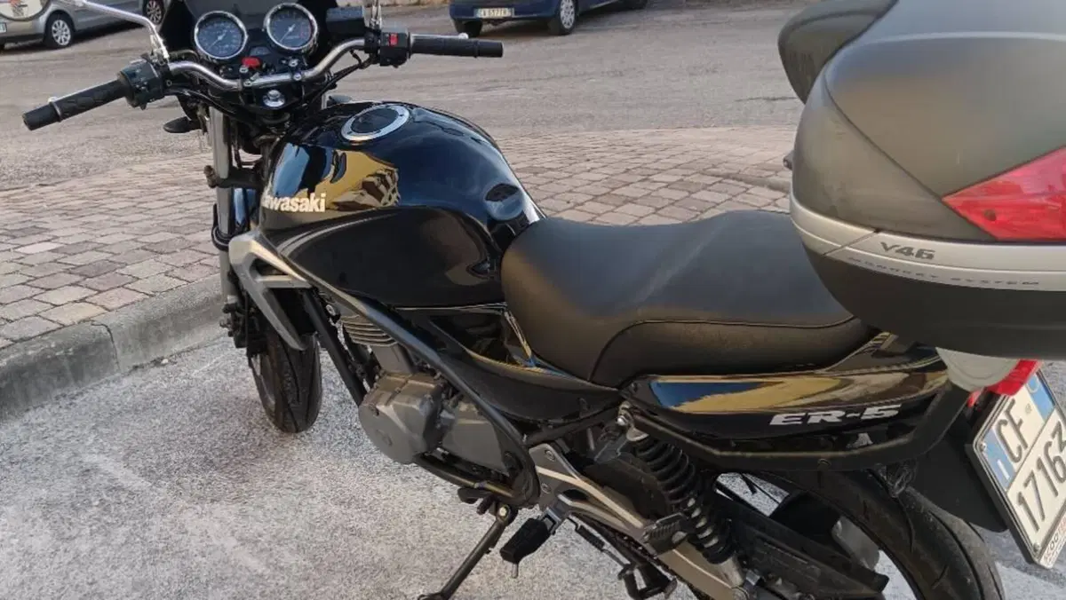 Kawasaki ER-5 500 (2001 - 06)  (2)