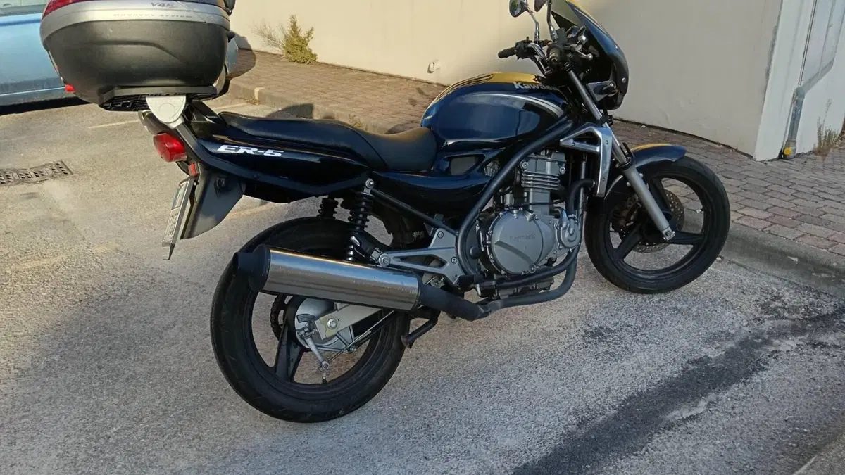 Kawasaki ER-5 500 (2001 - 06)  (4)