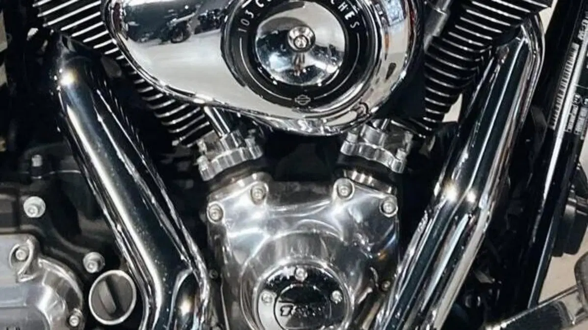 Harley-Davidson 1690 Switchback (2011 - 16)  (5)
