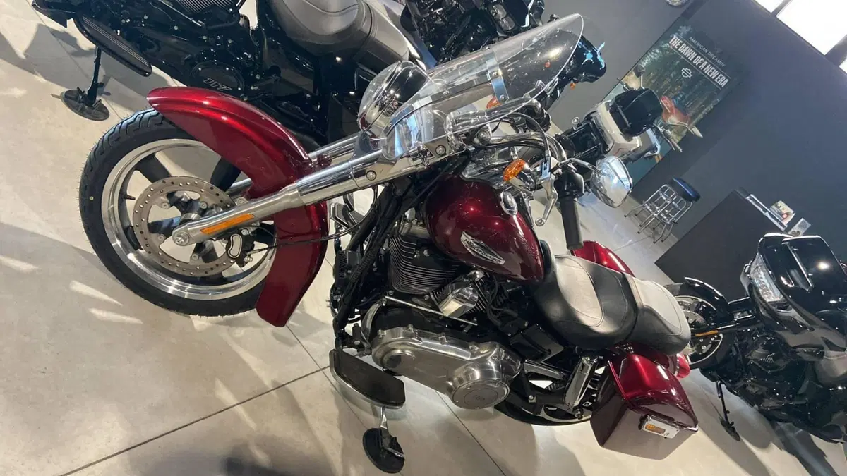 Harley-Davidson 1690 Switchback (2011 - 16)  (7)
