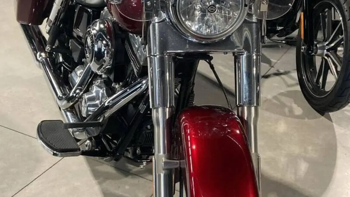 Harley-Davidson 1690 Switchback (2011 - 16)  (8)