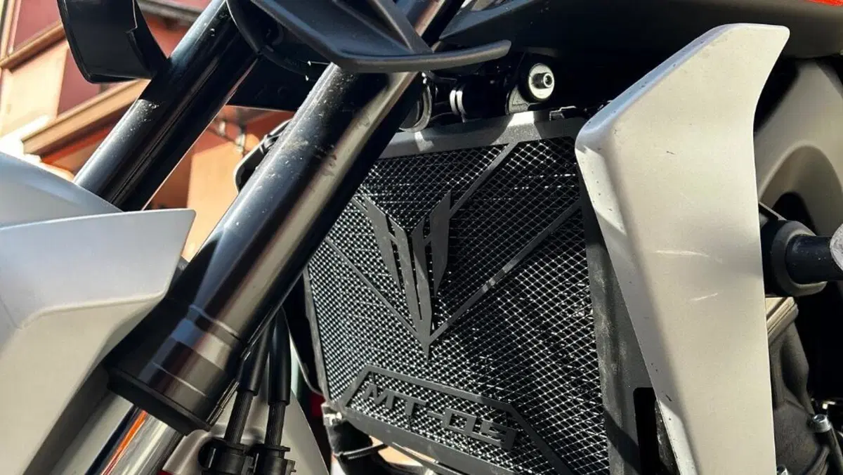 Yamaha MT-09 (2017 - 20)  (4)