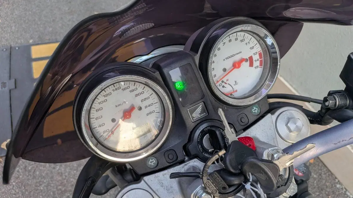 Honda Hornet 600 (2003 - 04)  (4)