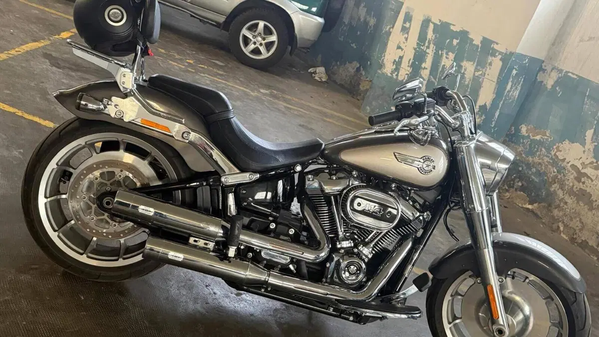 Harley-Davidson Fat Boy 114 (2021 - 24)  (3)