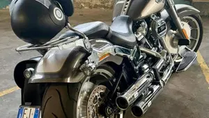 Harley-Davidson Fat Boy 114 (2021 - 24)  (4)