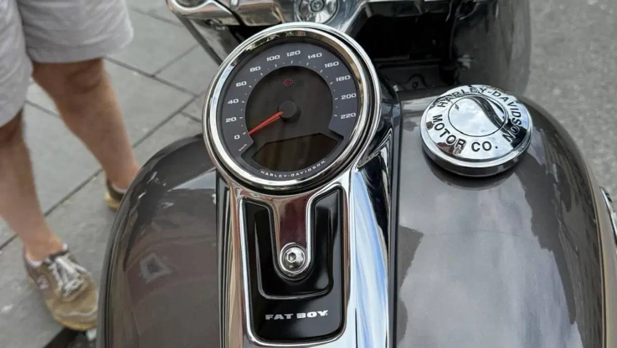 Harley-Davidson Fat Boy 114 (2021 - 24)  (6)