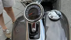 Harley-Davidson Fat Boy 114 (2021 - 24)  (6)