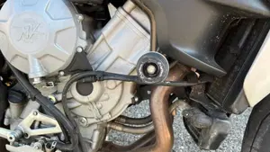 MV Agusta Brutale 800 EAS (2012 - 14)  (4)