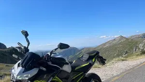 Kawasaki Z 900 (2020)  (6)
