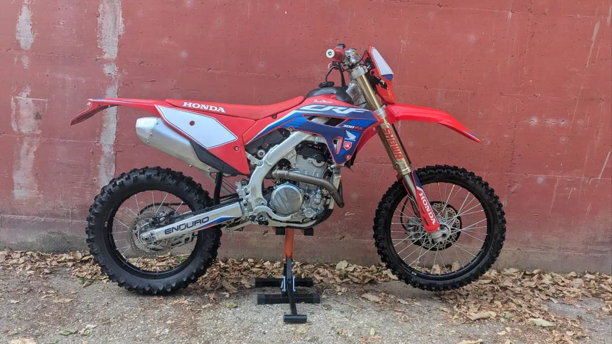 Honda CRF 300RX Enduro (2023)  (2)