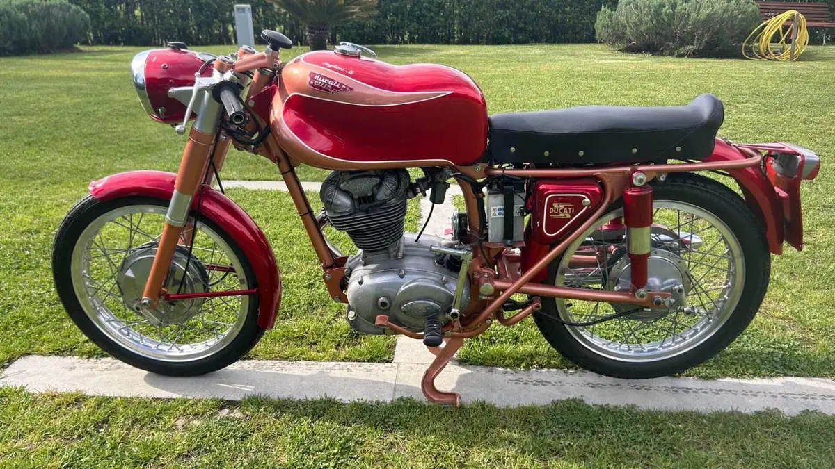 Ducati  
