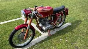 Ducati   (2)