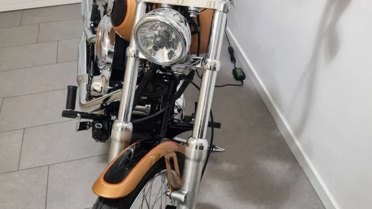 Harley-Davidson 1584 Custom (2008 - 09) - FXSTC 