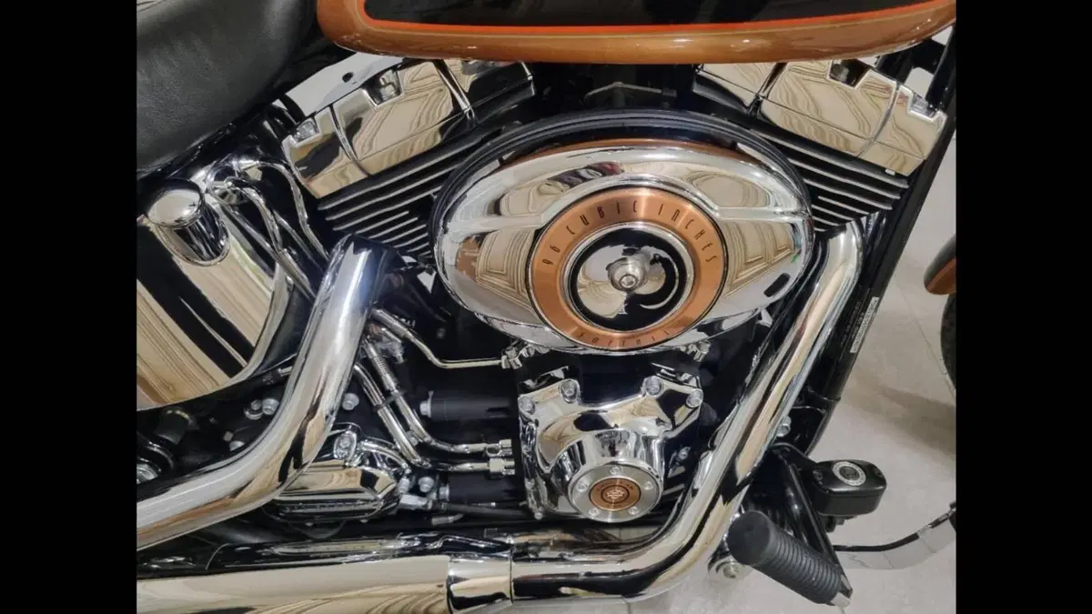 Harley-Davidson 1584 Custom (2008 - 09) - FXSTC  (2)