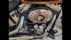 Harley-Davidson 1584 Custom (2008 - 09) - FXSTC  (2)