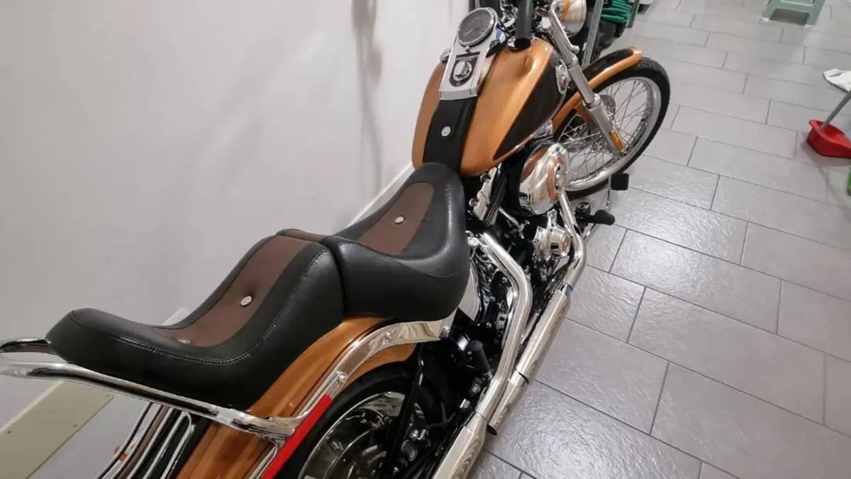 Harley-Davidson 1584 Custom (2008 - 09) - FXSTC  (4)