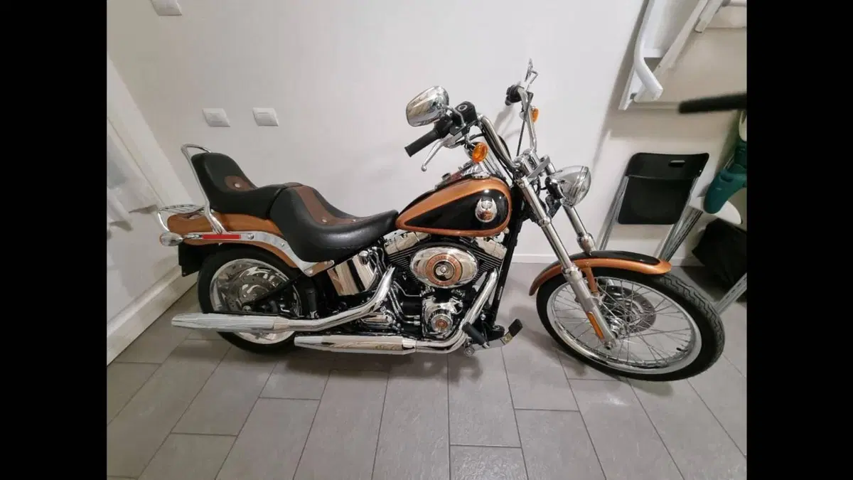 Harley-Davidson 1584 Custom (2008 - 09) - FXSTC  (5)