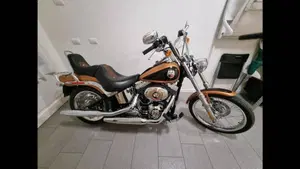 Harley-Davidson 1584 Custom (2008 - 09) - FXSTC  (5)