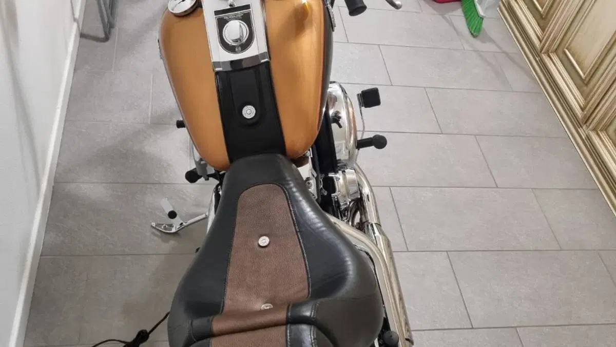 Harley-Davidson 1584 Custom (2008 - 09) - FXSTC  (8)