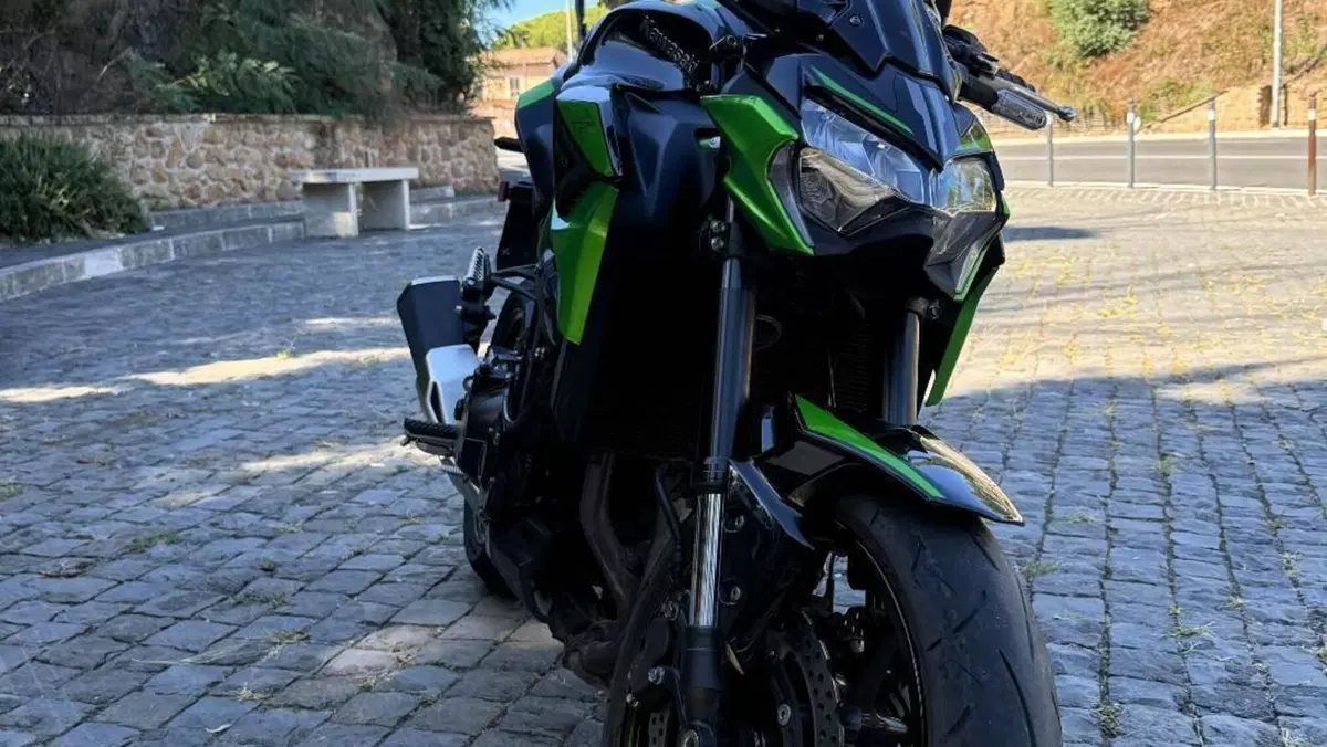 Kawasaki Z 900 (2021 - 24)  (3)