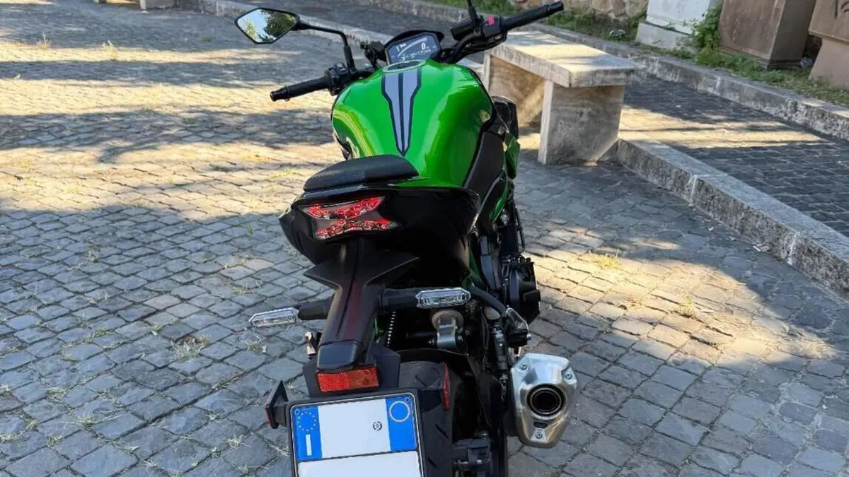 Kawasaki Z 900 (2021 - 24)  (4)