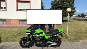 Kawasaki ZRX 1200 S (2001 - 04)  (3)