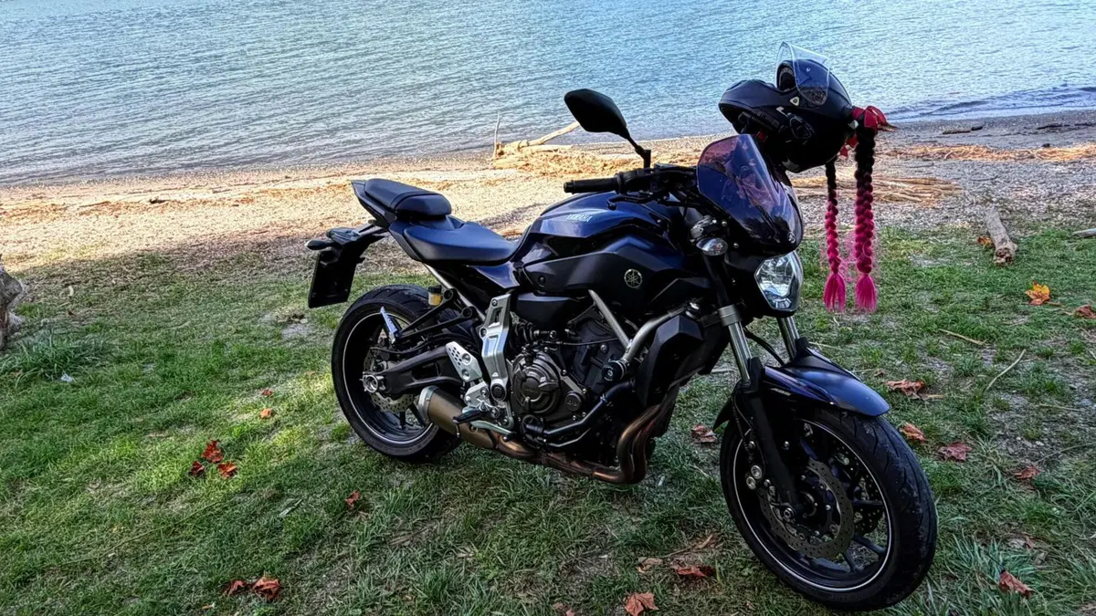 Yamaha MT-07 (2014 - 16)  (3)