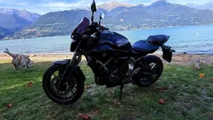 Yamaha MT-07 (2014 - 16)  (11)